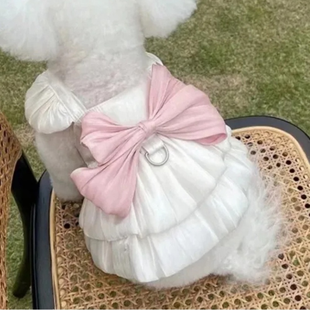Bow Dog Dress🎀